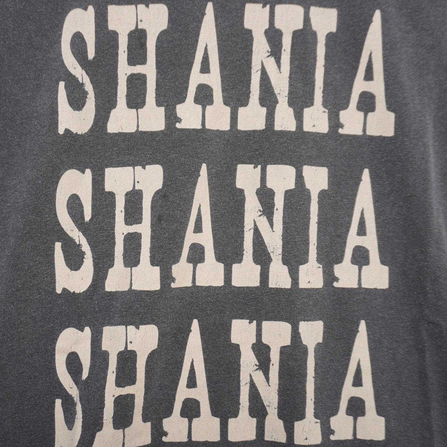 Comfort Colors Gray "Shania Shania Shania" T-shirt 100% Cotton Size M