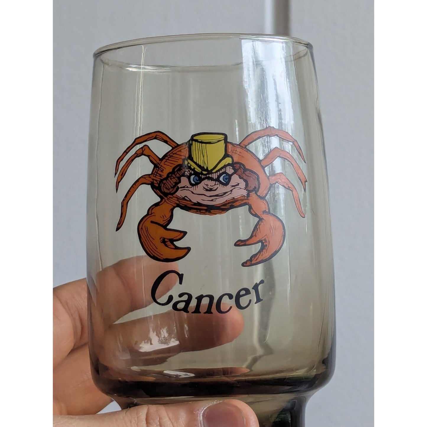 Vintage Cancer Zodiac Drinking Glass – Astrology Barware – Smoky Glass Crab Cup
