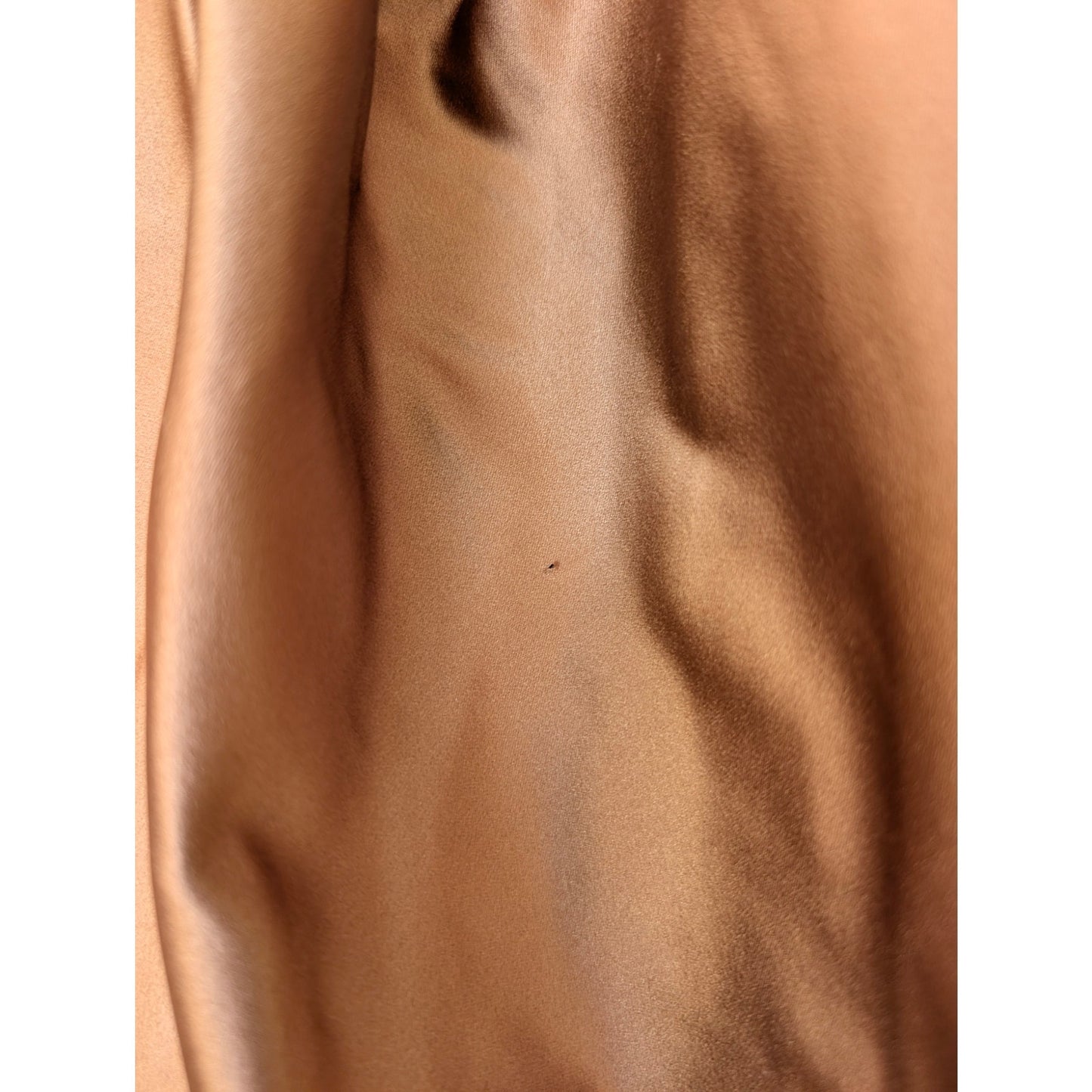 Vera Wang FW2007 Runway Silk Embroidered Skirt 42/8